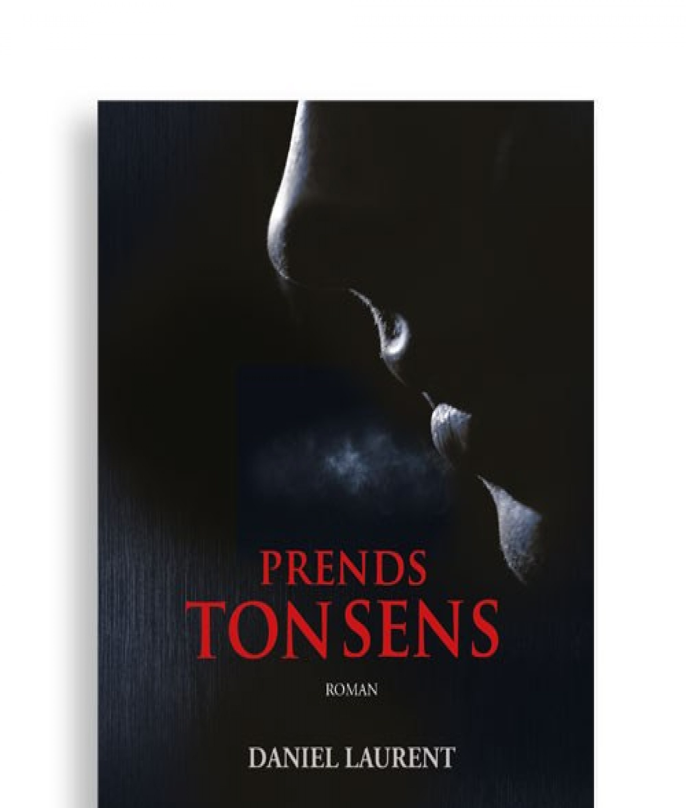 gallery/livre-prends-ton-sens--de-daniel-laurent
